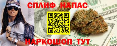 не бодяженный Сланцы
