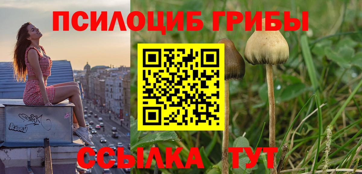 Галлюциногенные грибы мицелий  Вход с VPN  Ногинск 