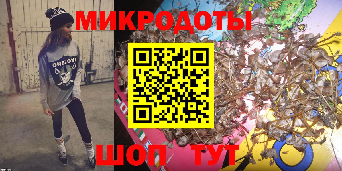 Галлюциногенные грибы Cubensis Ногинск